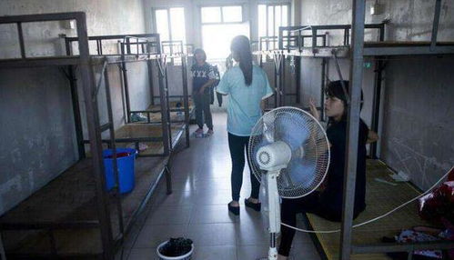 工廠宿舍與農(nóng)民工租房現(xiàn)象 從“管住”到“選住”的背后邏輯